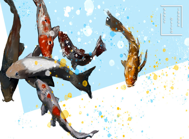 Koi fishes illustration