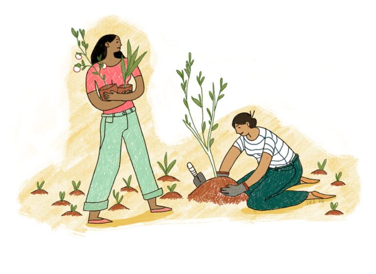 ilustraciones Mariana zona docs huerto urbano